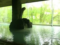 田沢湖高原水沢温泉 プラザホテル山麓荘別館 四季彩の写真