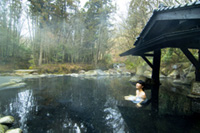 黒川温泉の写真