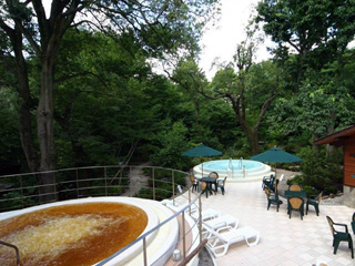 バーデと天然温泉 豊島園 庭の湯の写真４
