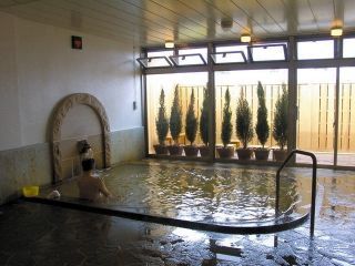 伊香保温泉浴場石段の湯の写真３