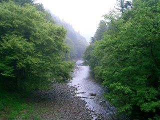 秋川渓谷 瀬音の湯の写真４