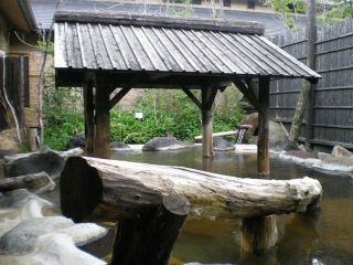 縄文天然温泉 志楽の湯写真１