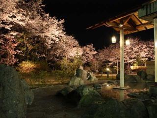 藤野やまなみ温泉の写真３