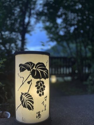 ヴィラ雨畑 すず里の湯の写真４