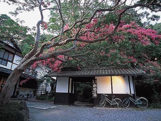 湯々庵 枇杷の湯写真２