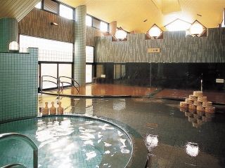 有馬本温泉 金の湯写真２