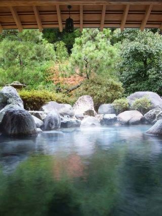 大江戸温泉物語 Premium 斉木別館写真１