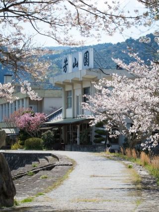 ゆの温泉 芳和の湯の写真３