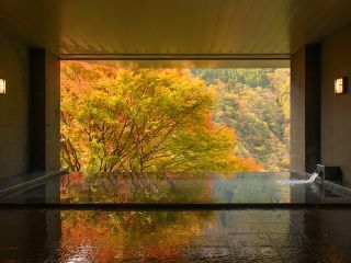 和の宿ホテル祖谷温泉写真２