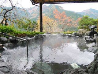 新祖谷温泉 ホテルかずら橋写真１
