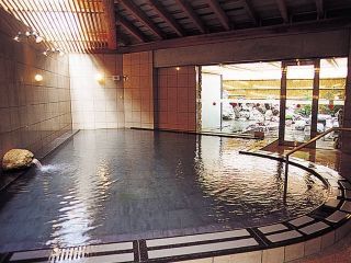 黒潮温泉龍馬の湯の写真３