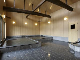 はさみ温泉 湯治楼の写真３