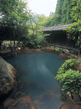 お宿 野の花の写真３