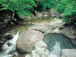 大丸あすなろ荘写真１
