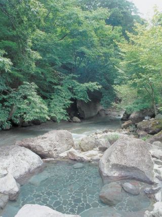 大丸あすなろ荘の写真３