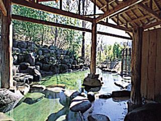 天狗の湯 きむら苑の写真３