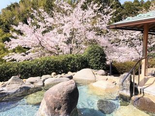 滝見苑 けんこう村 ごりやくの湯写真２