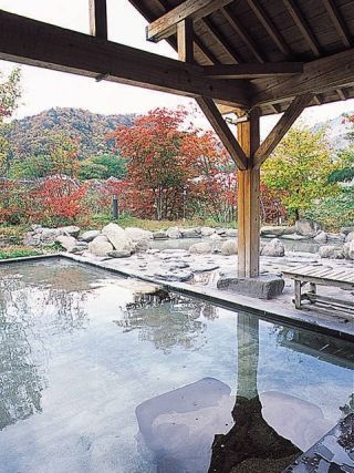 湯けむり屋敷 薬師の湯写真１