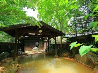 平湯民俗館 平湯の湯写真１