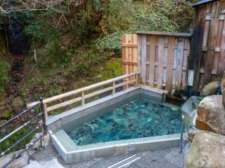 湯泉地温泉 滝の湯写真２