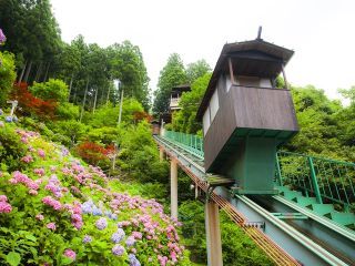 新祖谷温泉 ホテルかずら橋写真２