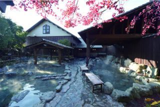 おがわ温泉 花和楽の湯の写真３