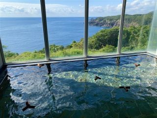 samana hotel Yakushima（サマナ ホテル ヤクシマ）写真１