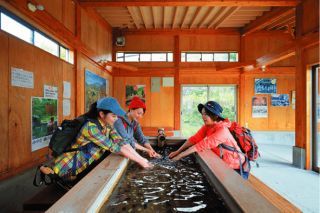 鳴子温泉ゆめぐり広場（手湯）写真１