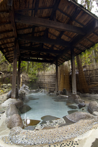 平山温泉の写真３