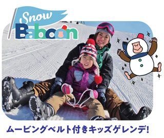 Snow Baboon