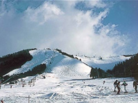 大鰐温泉スキー場の写真