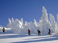 阿仁スキー場の写真