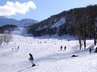 裏磐梯スキー場の写真