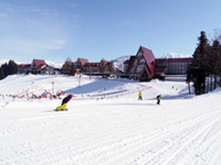 上越国際スキー場の写真