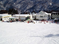 白馬乗鞍温泉スキー場の写真
