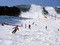 Mt.KOSHA よませ温泉スキー場の写真
