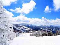 志賀高原 焼額山スキー場の写真