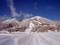 いいづなリゾートスキー場の写真