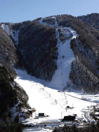 平湯温泉スキー場の写真