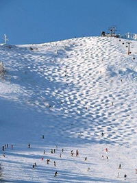 ハチ北高原スキー場の写真