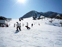北信州 木島平スキー場の写真