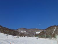 札幌藻岩山スキー場の写真