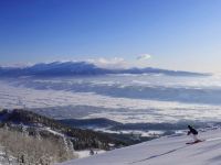 富良野スキー場の写真