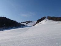 ぬかびら源泉郷スキー場の写真