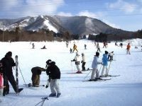 みやぎ蔵王七ヶ宿スキー場の写真
