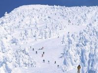 山形蔵王温泉スキー場の写真