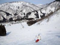 白山一里野温泉スキー場の写真