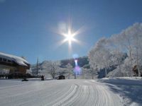 野沢温泉スキー場の写真