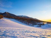 網張温泉スキー場の写真