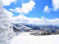 志賀高原 焼額山スキー場の写真